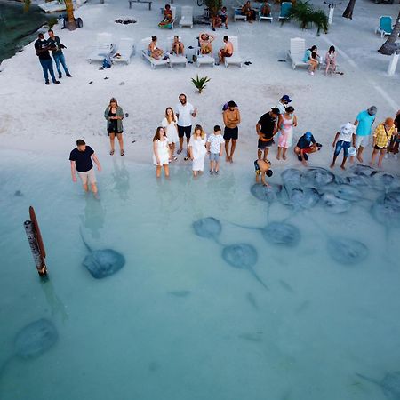 Hidden Treasure Vacation Home Blue Bay Cottage Caye Caulker Eksteriør billede