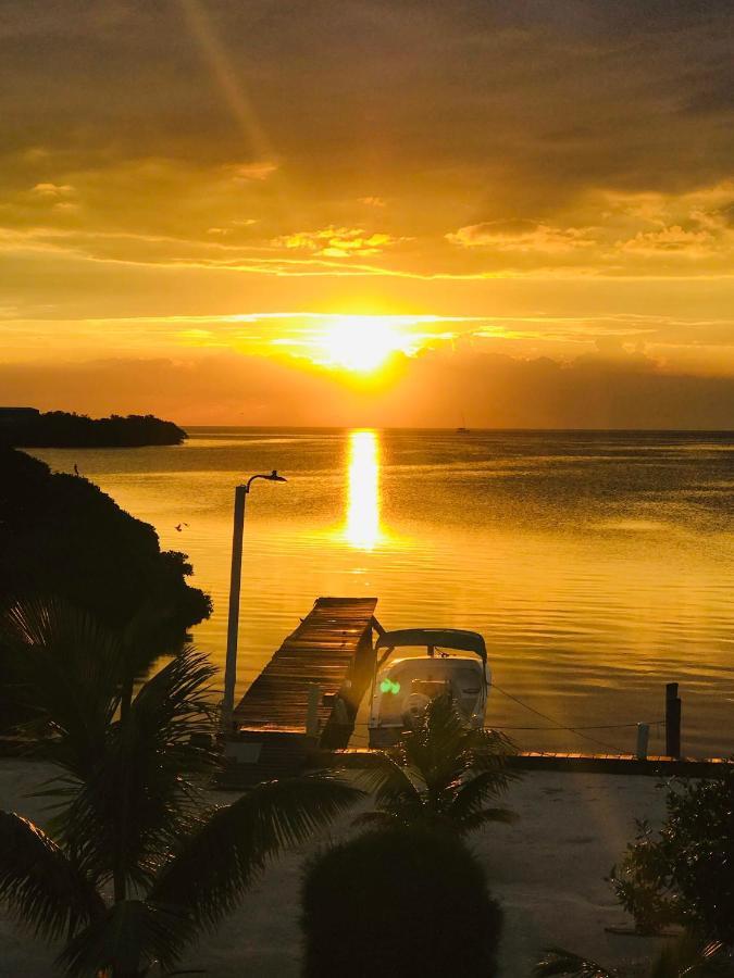 Hidden Treasure Vacation Home Blue Bay Cottage Caye Caulker Eksteriør billede