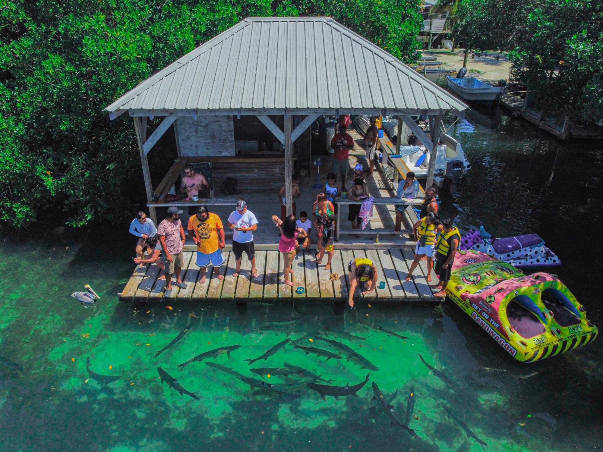 Hidden Treasure Vacation Home Blue Bay Cottage Caye Caulker Eksteriør billede